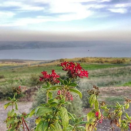 Sea Of Galilee Site Apartment Chorazim Exterior photo