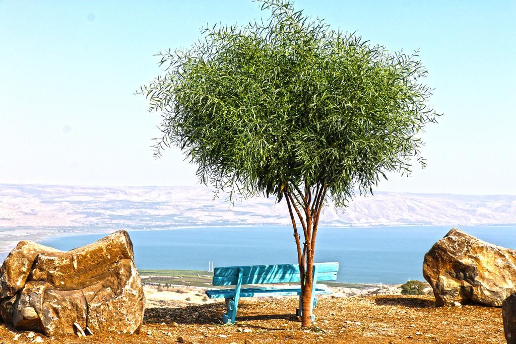 Sea Of Galilee Site Apartment Chorazim Exterior photo